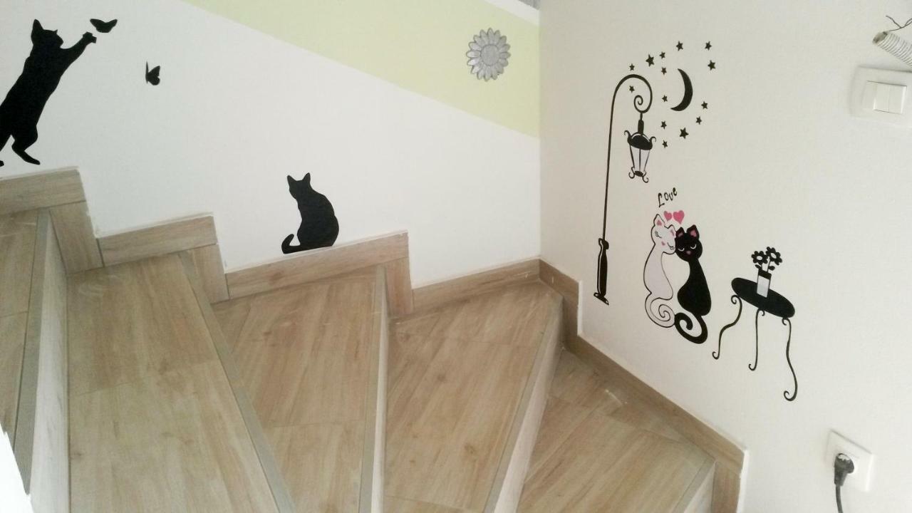 Vacation House "Viola" Fažana エクステリア 写真